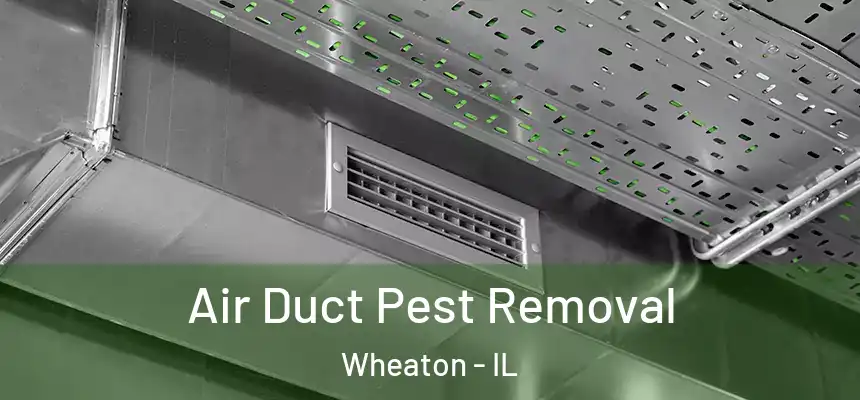  Air Duct Pest Removal Wheaton - IL