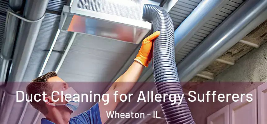  Duct Cleaning for Allergy Sufferers Wheaton - IL