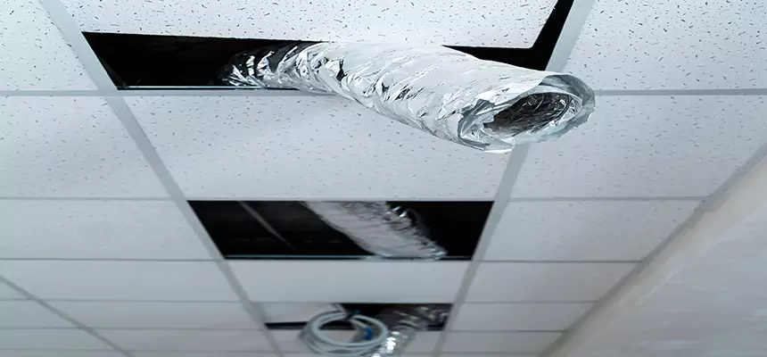 Affordable HVAC Sanitizing After Pest Removal in Wheaton