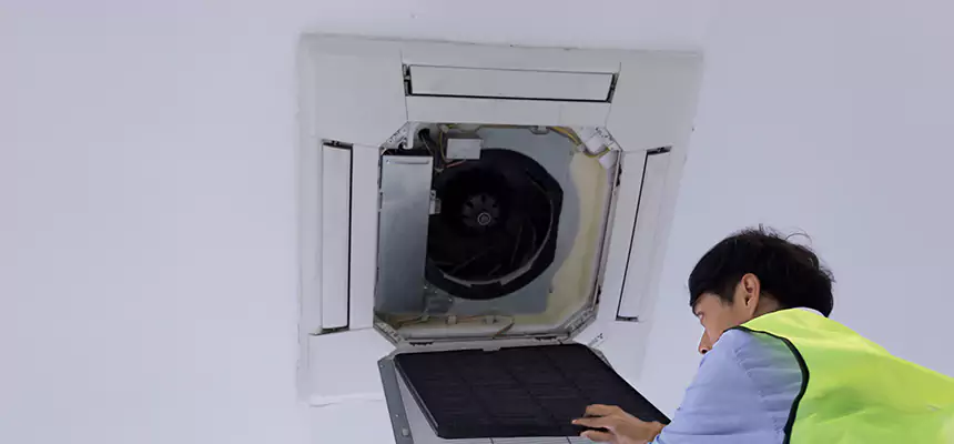 Our Dryer Vent Sanitization Service Services in Wheaton, IL