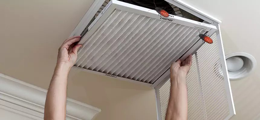 Our Insect Removal from Air Ducts Services in Wheaton, IL