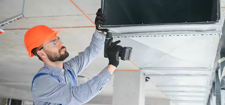 Roof Cap & Exterior Hood Lint Buildup Removal – Wheaton