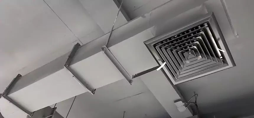 Our Pest Removal From Ducts Services in Wheaton, IL