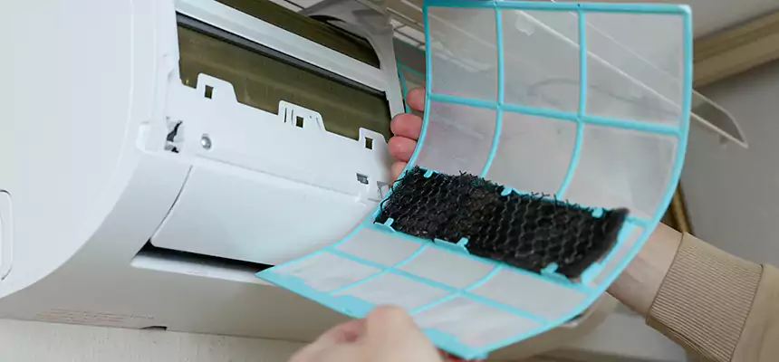 Gentle Ductwork Odor-Control Pet Dander Duct Cleaning in Wheaton, IL