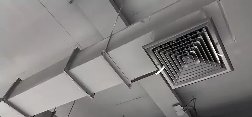 Our Rodent Droppings In Vents Services in Wheaton, IL