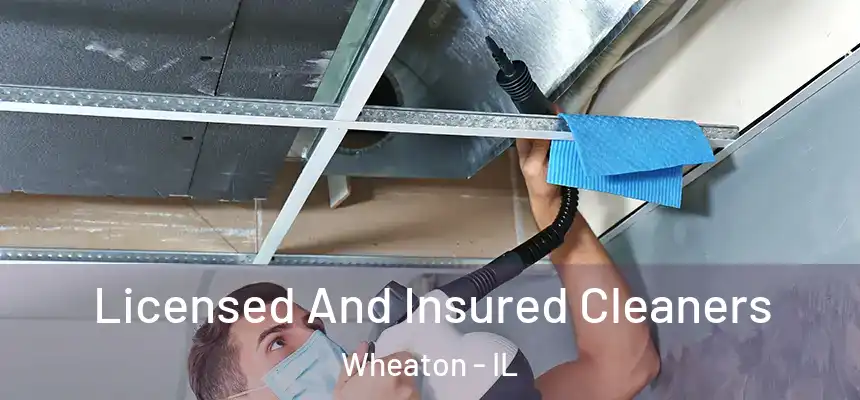  Licensed And Insured Cleaners Wheaton - IL