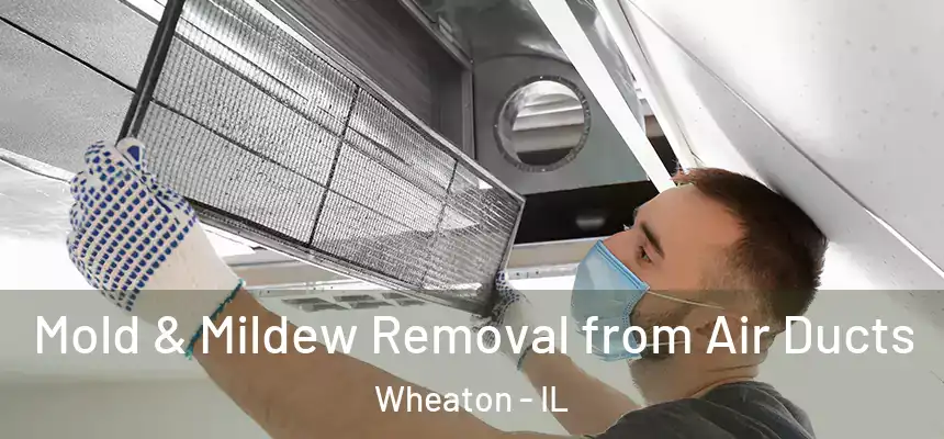  Mold & Mildew Removal from Air Ducts Wheaton - IL