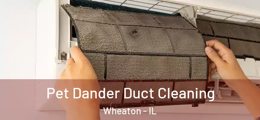 Pet Dander Duct Cleaning Wheaton - IL