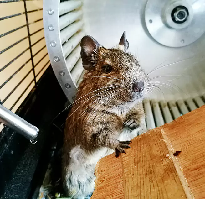 Why Homeowners & Businesses Trust Us Wheaton, IL?