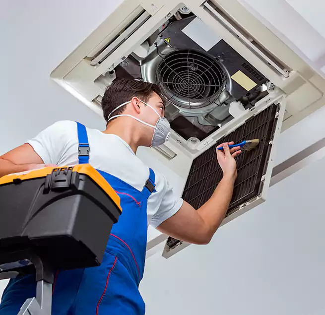 Why Homeowners & Businesses Trust Us in Wheaton, IL