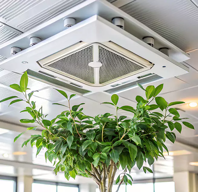 Why Homeowners & Businesses Trust Us in Wheaton, IL