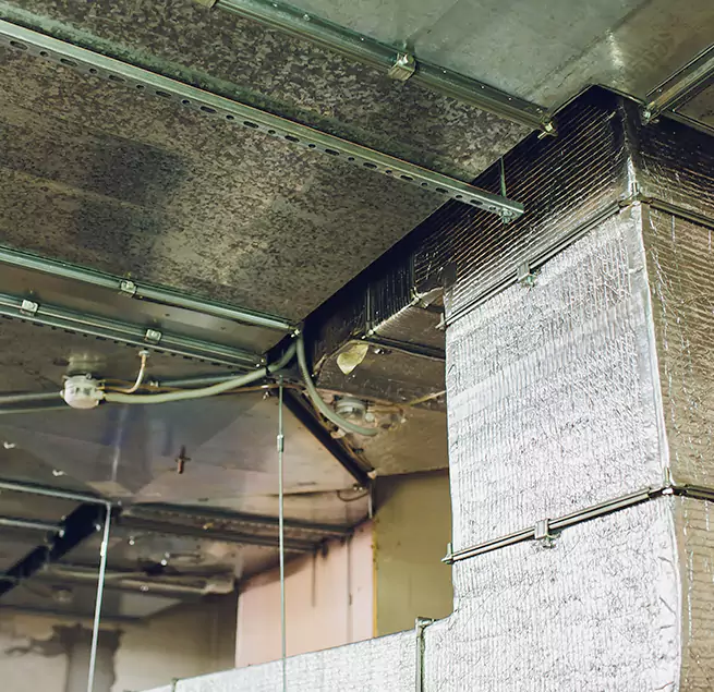 Why Homeowners & Businesses Trust Us in Wheaton, IL?